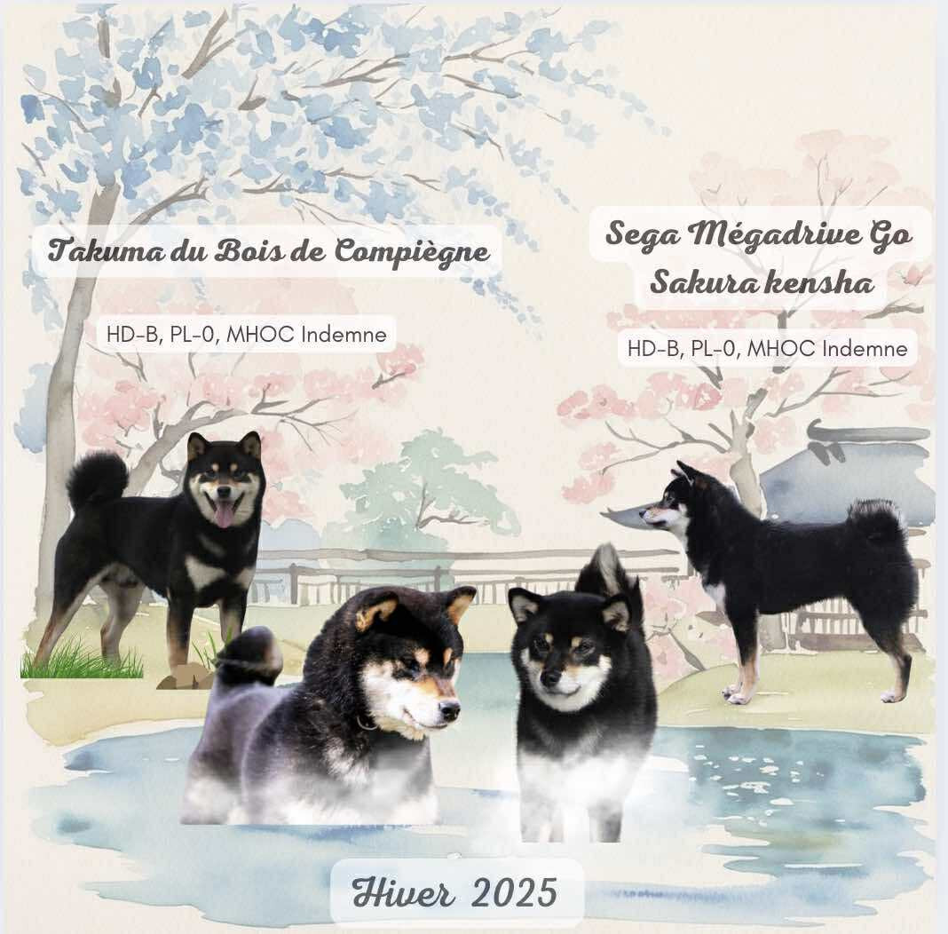 Bébé pour l'hiver 2025